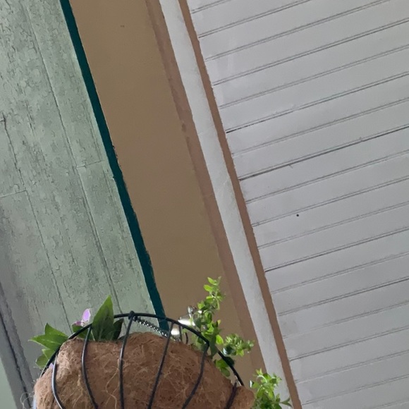 Meet your Posher, Eric - Picture 1 of 1